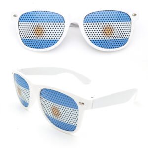 Argentina Flag Themed Sunglasses